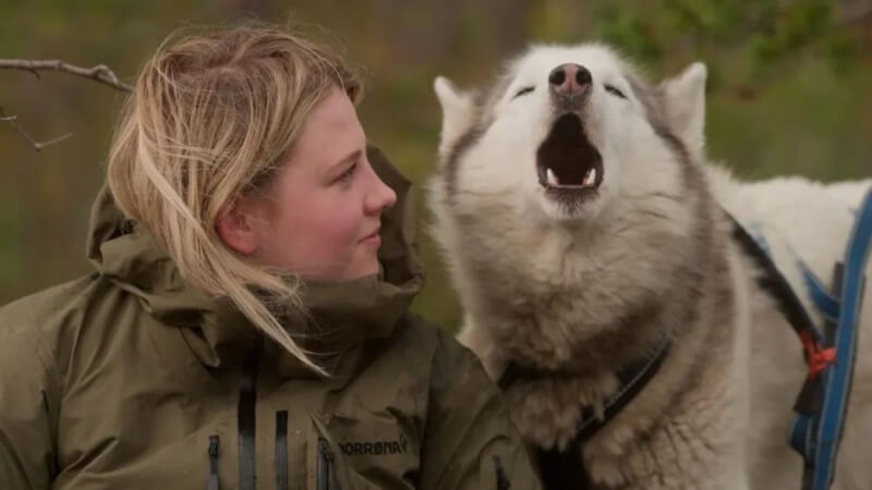 Teenagers Take on the Scandinavian Wilderness in Folktales