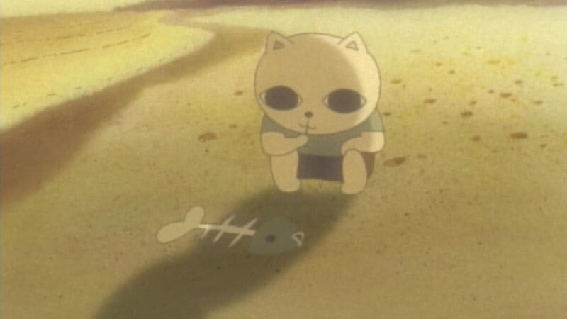 Criterion Collection anime