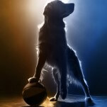God Help Us, Air Bud Is Getting a Meta Legacy Sequel, Air Bud Returns
