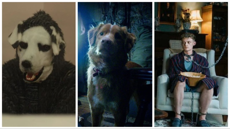 Wait, Just How Many Movies and Series Named Good Boy Are There?