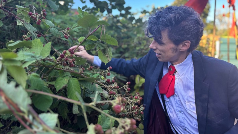 picking berries