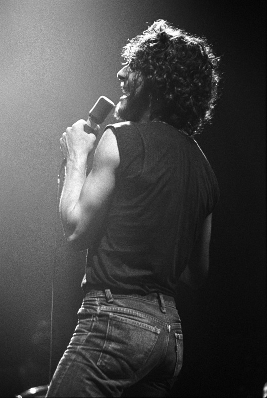 Bruce Springsteen Born to Run