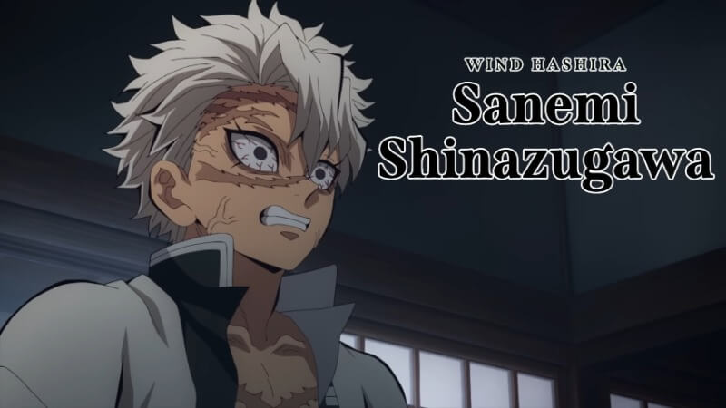 demon slayer hashira
