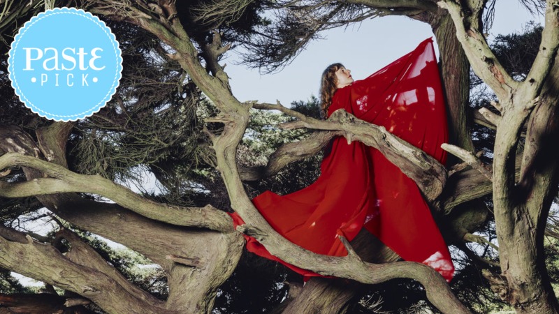 Hannah Frances Builds a Shelter Out of Nested in Tangles