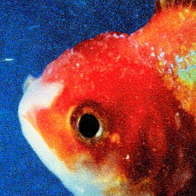 The 250 Greatest Albums of the 21st Century So Far
