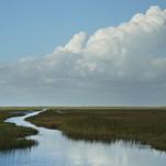 River of Grass Is a Lyrical Walk Through the Everglades with the Ghost of Marjory Stoneman Douglas