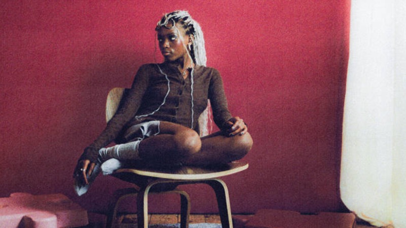 Hannah Jadagu’s Describe Breaks Up With Simple Classifications