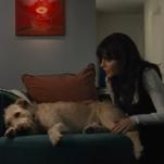 The Dog Is Sad & So Are We: Trailer For Amazon Prime Video's Merv