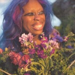 hemlocke springs is boredom’s remedy